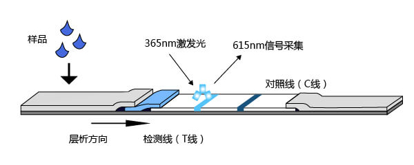 免疫熒光檢測(cè)平臺(tái)