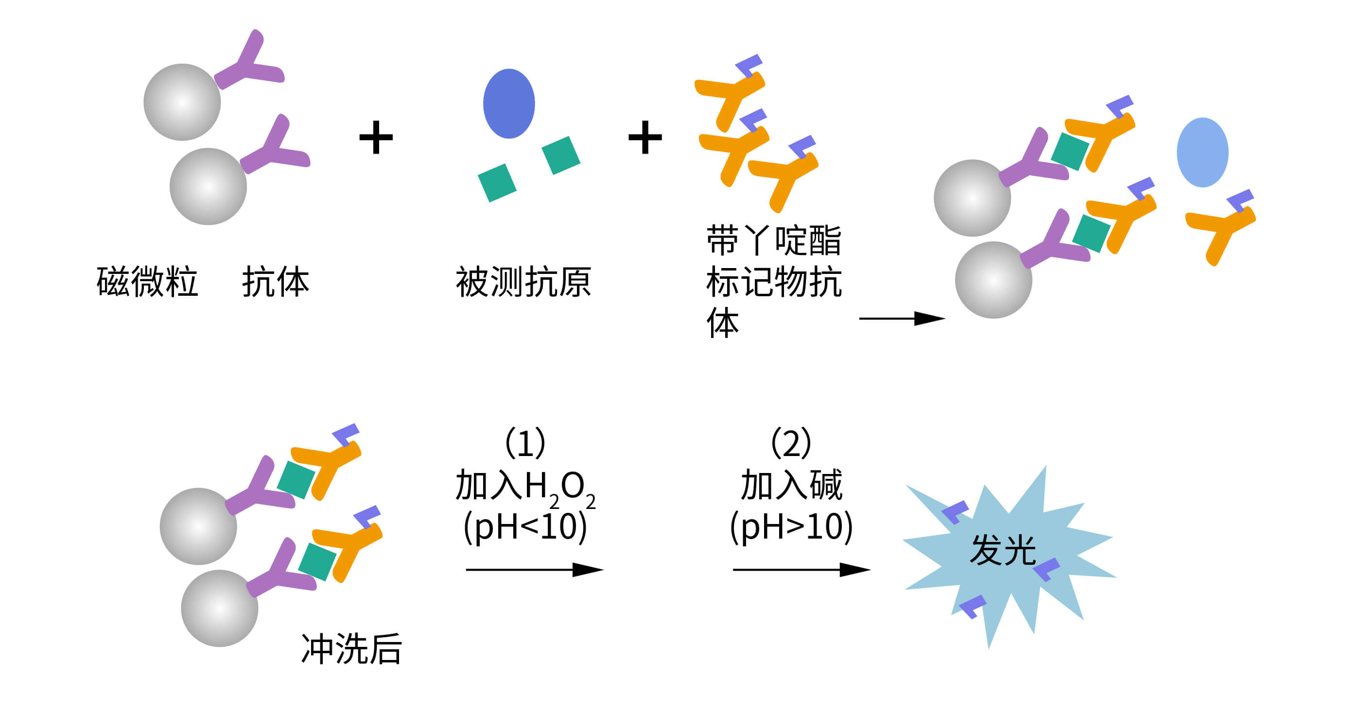 化學(xué)發(fā)光檢測(cè)平臺(tái)
