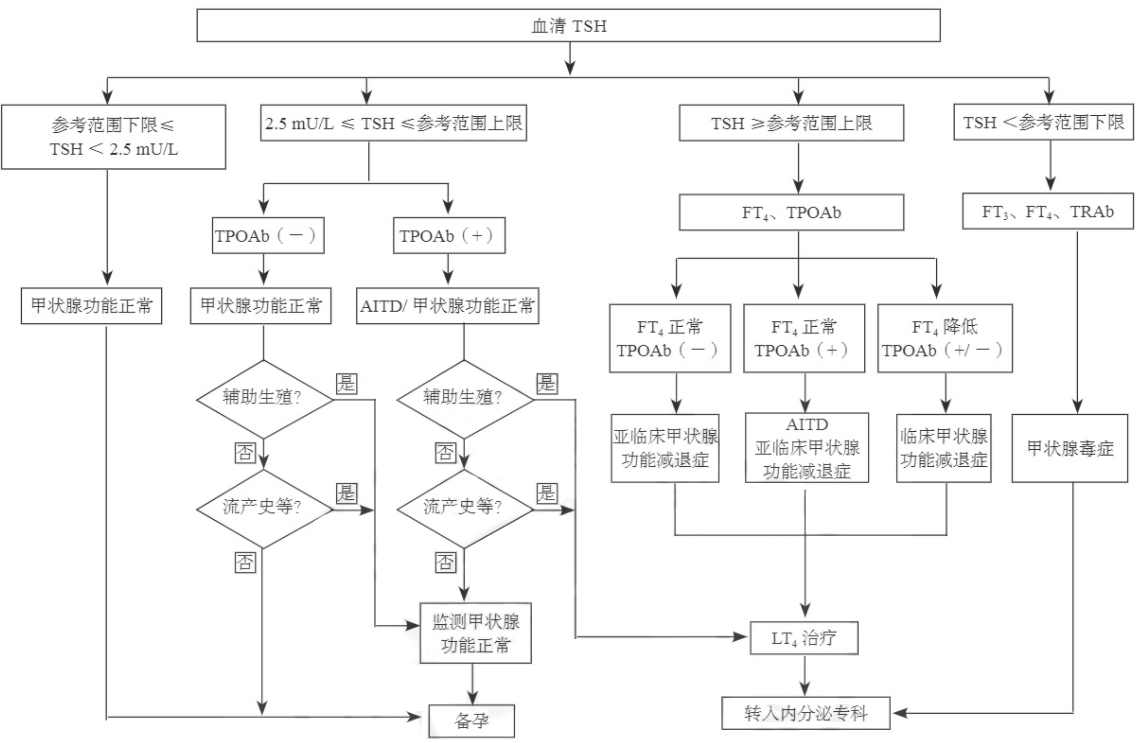 孕前血清TSH篩查、診斷和管理流程